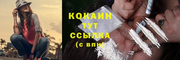 гашик Арсеньев