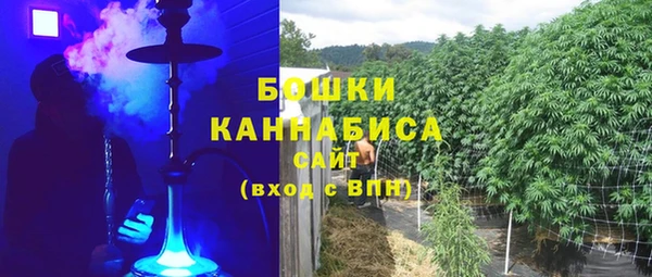 гашик Арсеньев