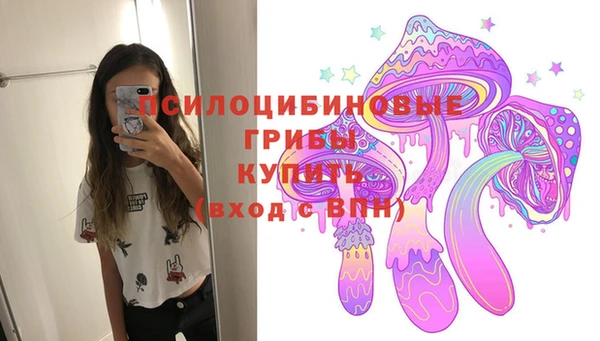 гашик Арсеньев