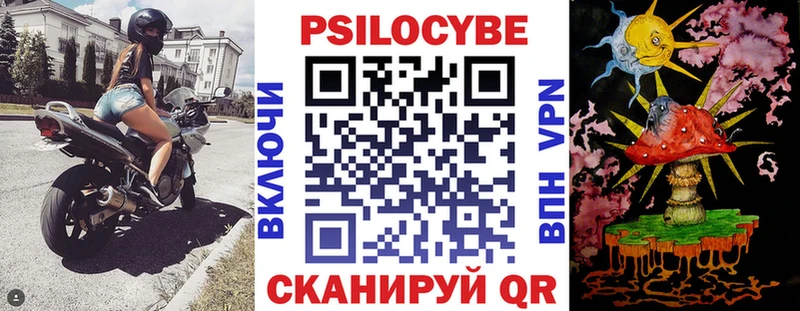 KRAKEN зеркало  Межгорье  Галлюциногенные грибы ЛСД 